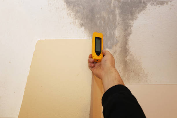 Best HVAC Mold Inspection and Cleaning  in Lakewood Park, FL