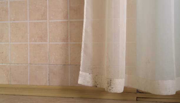 Best Mold Remediation for Healthcare Facilities  in Lakewood Park, FL